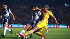 Tigres - Monterrey: Horario, canal, TV, cómo y dónde ver