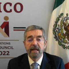 De la Fuente: México hará una “condena enérgica” por la invasión Rusia a Ucrania ante el Consejo de Seguridad