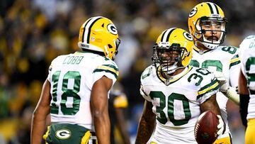 PITTSBURGH, PA - NOVEMBER 26: Jamaal Williams #30 of the Green Bay Packers celebrates with Randall Cobb #18 after rushing for a 4 yard touchdown in the fourth quarter during the game against the Pittsburgh Steelers at Heinz Field on November 26, 2017 in Pittsburgh, Pennsylvania.   Joe Sargent/Getty Images/AFP
 == FOR NEWSPAPERS, INTERNET, TELCOS &amp; TELEVISION USE ONLY ==