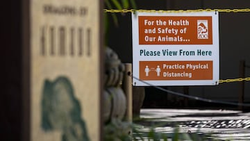 Los Angeles (United States), 26/08/2020.- A sign next to dragon of Komodo&#039;s enclosure reads &#039;For the Health and Safety of our Animals&#039; Please View from Here Practice Physical Distancing&#039; as the Los Angeles Zoo reopens after 166 days am