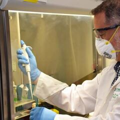 ¿Se puede ser inmune ante el coronavirus sin tener anticuerpos?