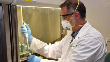 ¿Se puede ser inmune ante el coronavirus sin tener anticuerpos?