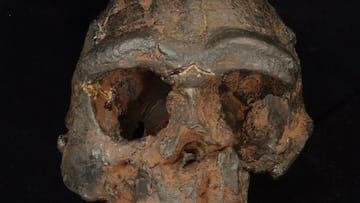 A 150,000-year-old fossil points to the existence of a ‘Dragon Man’