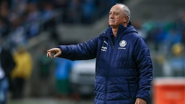 La razón que tiene en espera la negociación de Scolari con ByN