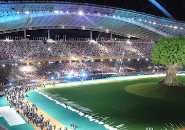 El recinto fue construido para los Juegos de Invierno del 2014 y ahí se realizaron las ceremonias de apertura y clausura. Será el único estadio techado en la Copa Confederaciones, con una estructura de vidrio instalada que permite el ver el mar Negro.