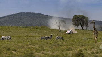 2021 FIA World Rally Championship / Round 06 / Safari Rally, Kenya / 22-27 June, 2021 // Worldwide Copyright: Toyota Gazoo Racing WRT