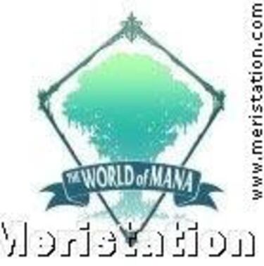 Comienzan los rumores sobre The World of Mana