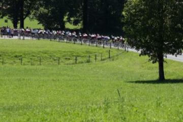 El pelotón recorriendo los 184 km de la etapa de hoy.