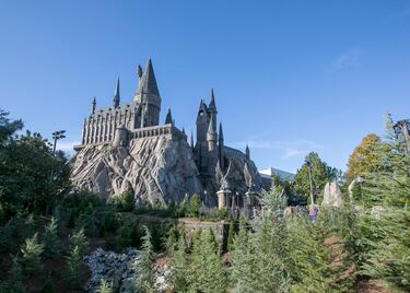 El universo de Harry Potter en Orlando es tan grande, y tan completo, que abarca dos parques temáticos (Hogsmeade y Diagon Alley) comunicados por el Hogwarts Express. La visita puede durar un par de días mínimo y en ella puedes vivir como un auténtico mago o bruja. Puedes pasear por las tiendas del Callejón Diagon, beber cerveza de mantequilla o visitar el castillo de Howarts. Además de todo eso se puede disfrutar de numerosos espectáculos y atracciones de lo más vibrante.