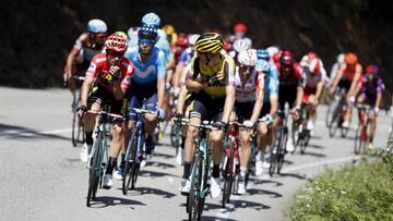 El pelotón durante la etapa 15 de la Vuelta.