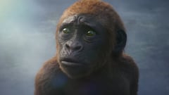 Primer tráiler de ‘Godzilla x Kong 2: The New Empire’ con Baby Kong haciéndonos elegir bando