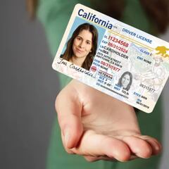 Goodbye to driver’s licenses? This is the new mandatory document for driving and traveling in the US