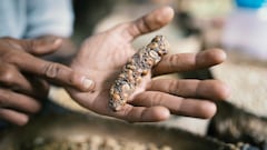 Los alimentos más exclusivos del mundo