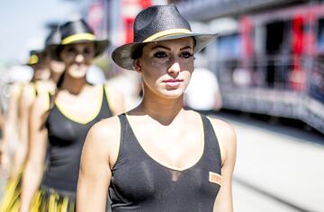 Las chicas del paddock antes del inicio de la carrera. 