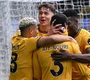 Resumen del Wolves vs Tottenham, jornada 32 de la Premier League 24-25