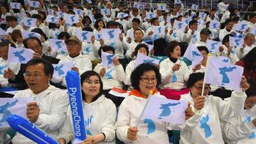 North and South Korea will march together under unified flag at Winter Olympics