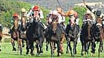 <b>RUSH FINAL. </b>Revoleo de látigos y Porma (de rosa), ganadora.