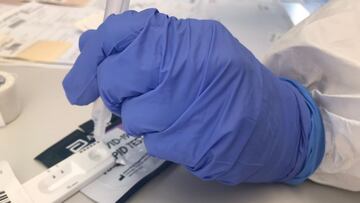 Test rápido de antígenos de la COVID-19 realizado en Palma.