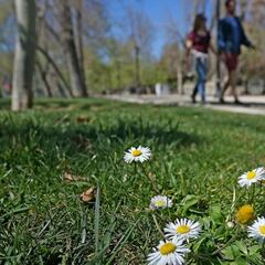Cuándo comienza la primavera en Chile: qué día y a qué hora