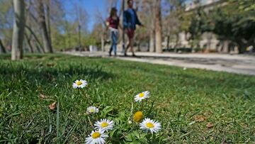Cuándo comienza la primavera en Chile: qué día y a qué hora