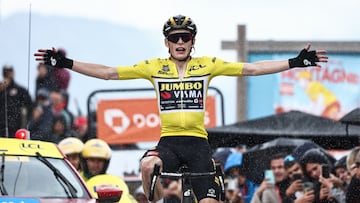 Jumbo-Visma's Danish rider Jonas Vingegaard celebrates as he crosses the finish line during the seventh stage of the 75th edition of the Criterium du Dauphine cycling race, 148km between Port de Savoie to Col de la Croix de Fer - Saint Sorlin, France, on June 10, 2023. (Photo by Anne-Christine POUJOULAT / AFP)
