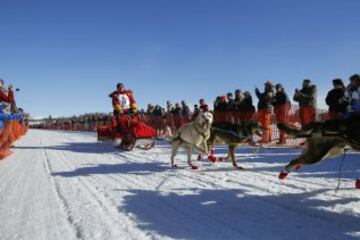 Después del acto ceremonial, ayer comenzó la primera etapa de la carrera de trineos con perros en Willow, Alaska. El viaje será de un total de 1.609 kilómetros.