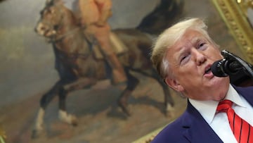 FILE PHOTO: U.S. President Donald Trump speaks in front of a portrait of former president Theodore Roosevelt during an event  in the Roosevelt Room of the White House in Washington, U.S., October 9, 2019.  REUTERS/Jonathan Ernst/File Photo