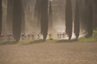 El pelotón durante la carrera.