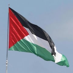 ¿Qué países reconocen a Palestina internacionalmente y cuál es la posición de España?