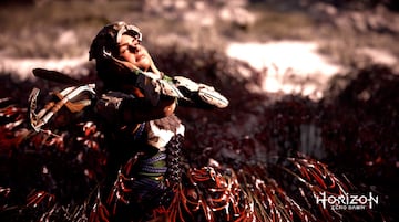 Captura de pantalla - horizon-modo-foto-016.jpg