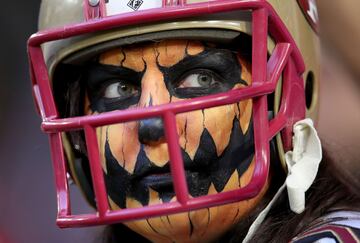 Un seguidor durante el partido Arizona Cardinals - San Francisco 49ers.