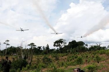 Qué es el glisofato, para qué se utiliza y por qué se decide fumigar con drones