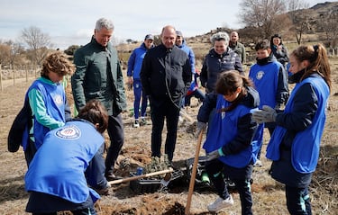 La Fundacin Atltico se vuelca con el proyecto Reforestacin de la Sierra de Gredos