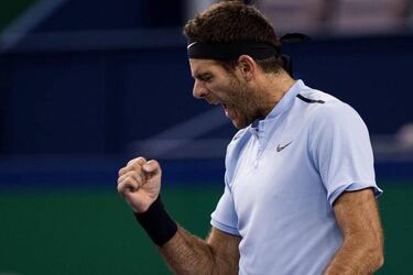 Nadal, Del Potro through to quarters at Shanghai Masters