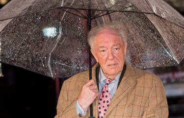 El actor que dio vida en el cine al celebérrimo profesor Dumbledore en las seis últimas cintas de la saga de 'Harry Potter' murió en septiembre a causa de una neumonía. A sus 82 años de edad, Gambon, que llevaba retirado del cine desde 2019, también tenía problemas de memoria.