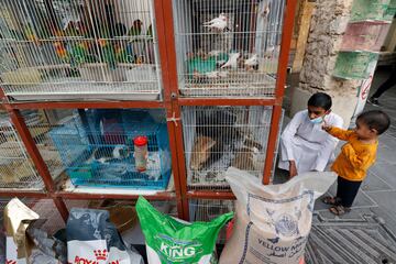 Aspecto del mercado de pájaros de Souq Waqif. 
