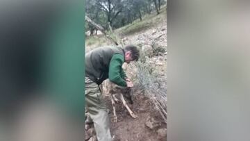 El lado más humano de Alfonso Pérez: ¡salvó a un cervatillo!