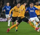 Resumen del Wolves vs Everton , jornada 28 de la Premier League 24-25