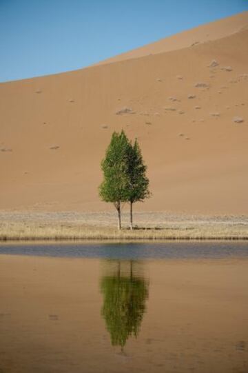 El desierto Gobi bajo las ruedas del Silk Way Rally 2016