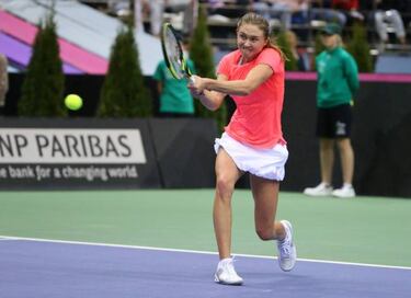 Sasnovich sees off Stephens to force Fed Cup decider
