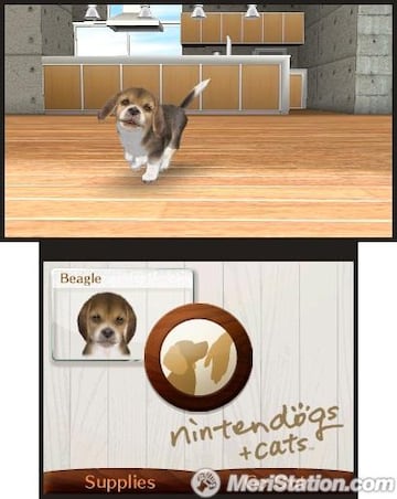 Captura de pantalla - 3ds_nintendogs_03ss03_e3.jpg