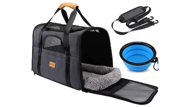 ¿Tienes un gato? Estos 10 productos son básicos para el bienestar de tu primera mascota