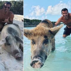 Luis Figo desata las bromas contra sí mismo posando con unos cerdos