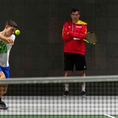 Alcaraz aterriza en la Davis