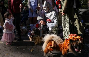 Tompkins Square Park es un parque de cuatro hectáreas del East Side de Manhattan en Nueva York donde se han reunido numerosos perros disfrazados para Halloween.