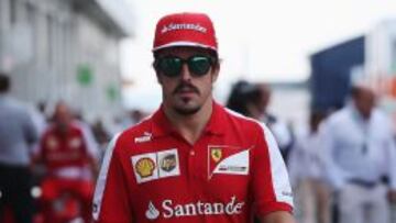 Fernando Alonso.