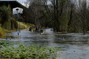 Inundaciones provocadas por el desbordamiento del río Miño en  Xunqueira de Espadanedo, Ourense, Galicia. La Dirección General de Emergencias e Interior de la Vicepresidencia Segunda de la Xunta ha extendido la alerta naranja por nevadas al sur de Ourense, que se suma a las zonas de montaña de la provincia, donde se esperan acumulaciones de más de 20 centímetros en 24 horas. Además, el Gobierno gallego ha extendido la suspensión del transporte escolar por las previsiones de nieve y fuertes rachas de viento a lo largo de hoy, provocando que más de 500 menores no puedan acudir a clase. La cota de nieve irá bajando con el paso de las horas y podría situarse en los 300 metros.