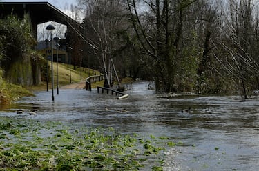Inundaciones provocadas por el desbordamiento del río Miño en  Xunqueira de Espadanedo, Ourense, Galicia. La Dirección General de Emergencias e Interior de la Vicepresidencia Segunda de la Xunta ha extendido la alerta naranja por nevadas al sur de Ourense, que se suma a las zonas de montaña de la provincia, donde se esperan acumulaciones de más de 20 centímetros en 24 horas. Además, el Gobierno gallego ha extendido la suspensión del transporte escolar por las previsiones de nieve y fuertes rachas de viento a lo largo de hoy, provocando que más de 500 menores no puedan acudir a clase. La cota de nieve irá bajando con el paso de las horas y podría situarse en los 300 metros.