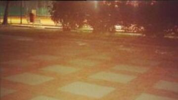 Un pequeño cocodrilo aparece cerca de las instalaciones donde se disputarán las pruebas de Golf en los Juegos Olímpicos de Río.