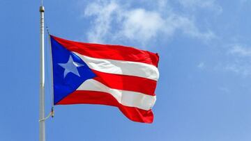 What are the options in the referendum on the political status of Puerto Rico?